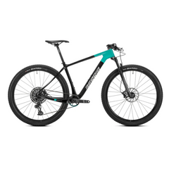 BERRIA MTB BRAVO ELITE GX