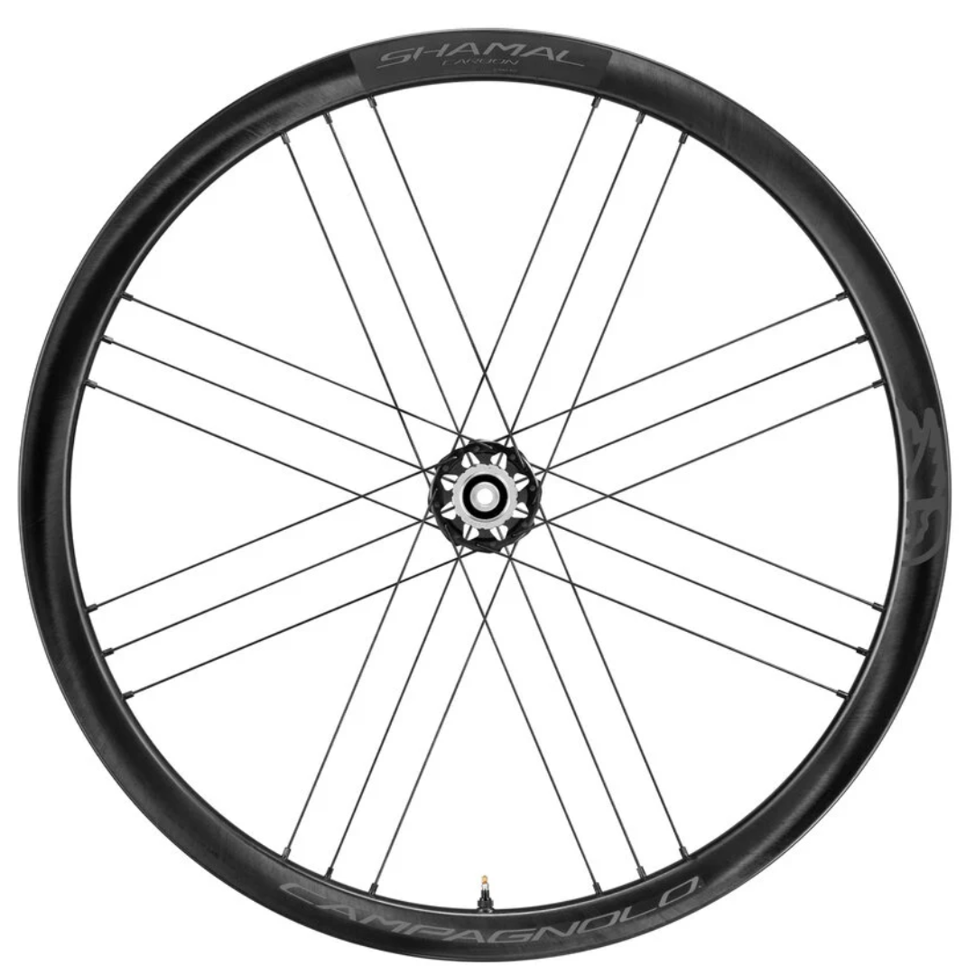RINES PARA RUTA/GRAVEL CAMPAGNOLO SHAMAL CARBON DISC BRAKE