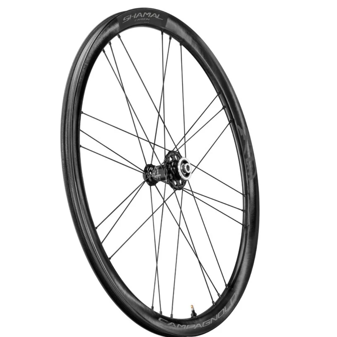 RINES PARA RUTA/GRAVEL CAMPAGNOLO SHAMAL CARBON DISC BRAKE